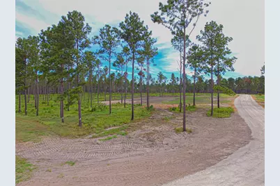 0010 Nelson Dr, Livingston, TX 77351 - Photo 1