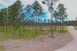 0010 Nelson Dr, Livingston, TX 77351 - Photo 1