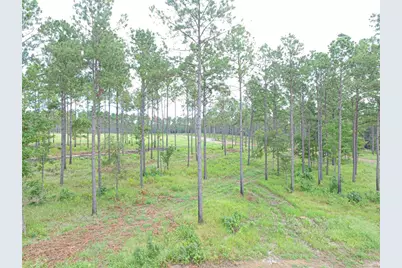 0010 Nelson Dr, Livingston, TX 77351 - Photo 8