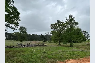 Lot 203 Overhill Court, Hillister, TX 77624 - Photo 8