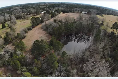 7365 Fm 2022 N, Grapeland, TX 75844 - Photo 4