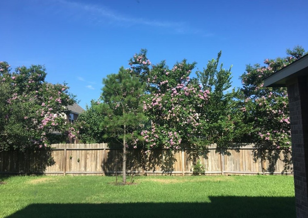 25211 Pineglen Terrace Dr, Spring, TX 77389-4999