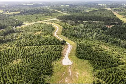 0 Caldwell, Lovelady, TX 75851 - Photo 8