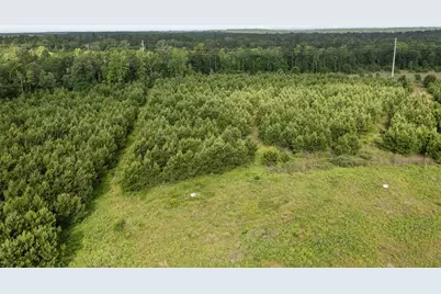 0 Caldwell, Lovelady, TX 75851 - Photo 6