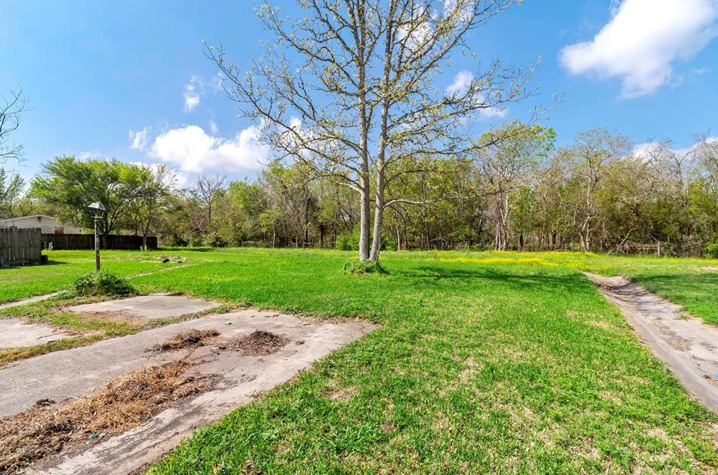 1231 Pampas Ln, League City, TX 77573