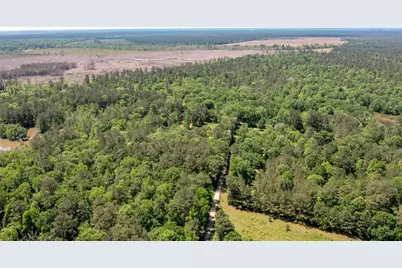 Tbd County Road 2318, Dayton, TX 77535 - Photo 10