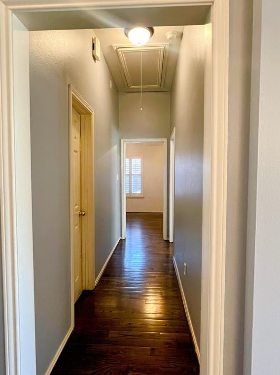 16519 Lasting Light Ln, Houston, TX 77095-3273