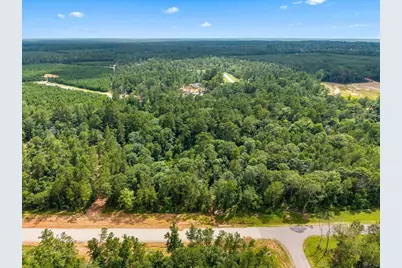 11546 Bramble Court, Willis, TX 77378 - Photo 12