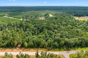 11546 Bramble Ct, Willis, TX 77378 - Photo 12