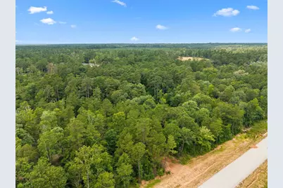 11546 Bramble Court, Willis, TX 77378 - Photo 6