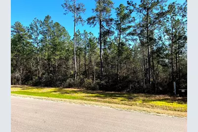 228 Exploration Road, Willis, TX 77378 - Photo 4