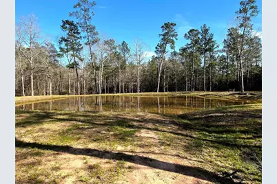 228 Exploration Road, Willis, TX 77378 - Photo 14