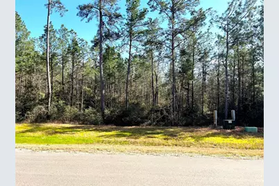 228 Exploration Road, Willis, TX 77378 - Photo 6