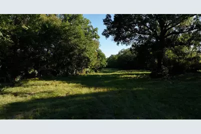 195 Ac Fm 149 Rd, Montgomery, TX 77356 - Photo 8