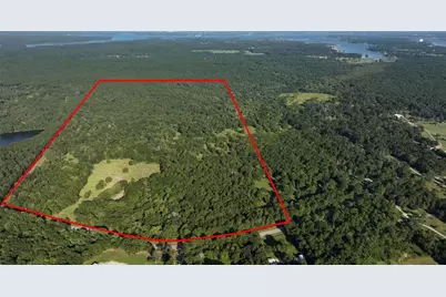 195 Ac Fm 149 Rd, Montgomery, TX 77356 - Photo 1