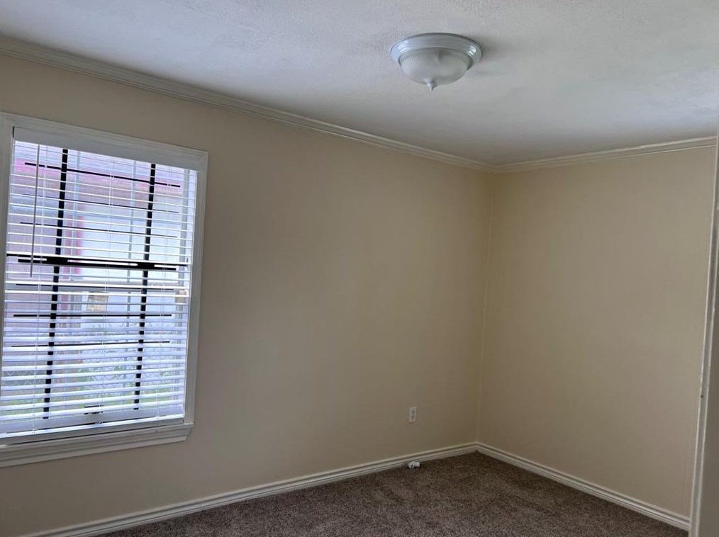 3718 Dreyfus, Houston TX  77021-5713 exterior