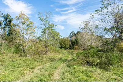 Tbd Hwy 36, Jones Creek, TX 77541 - Photo 2
