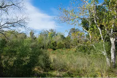 Tbd Hwy 36, Jones Creek, TX 77541 - Photo 20