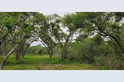 Tbd Specklebelly Lane Lot 252, Columbus, TX 78934 - Photo 24
