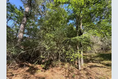 15 Wood Harbor, Trinity, TX 75862 - Photo 6