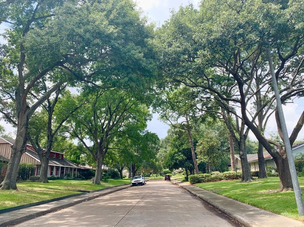 4815 Spellman Rd, Houston, TX 77035