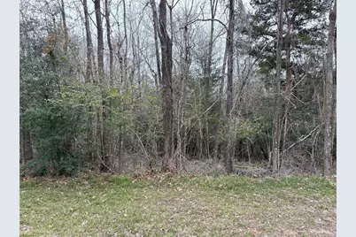 265 Fox Lane, Onalaska, TX 77360 - Photo 34