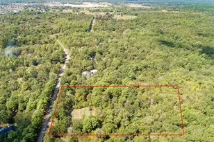 40719 Country Forest Dr, Magnolia, TX 77354 - Photo 10