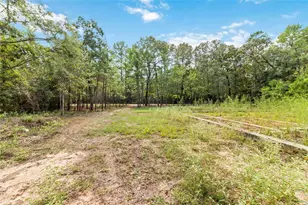 40719 Country Forest Dr, Magnolia, TX 77354 - Photo 6