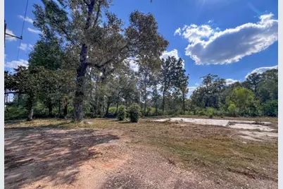 24450 Fm 2090 Road, Splendora, TX 77372 - Photo 6