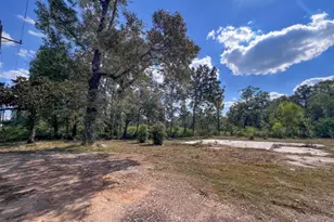 24450 Fm 2090 Rd, Splendora, TX 77372 - Photo 2