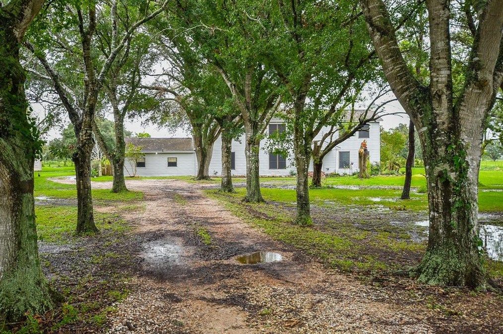210 Cedar Creek Dr, Needville, TX 77461