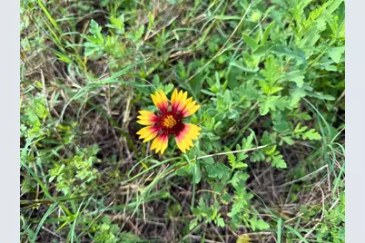 1 Dripping Vat Road, Huntsville, TX 77340 - Photo 8