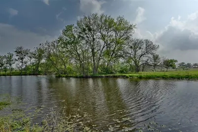 47.8 Acres Fm 141, Giddings, TX 78942 - Photo 8