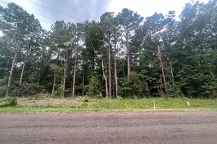 Tract 57 Fm 1751, San Augustine, TX 75972 - Photo 1