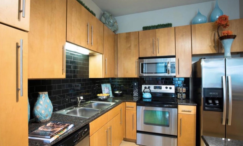1725 Cres Plaza Dr #3198, Houston, TX 77077