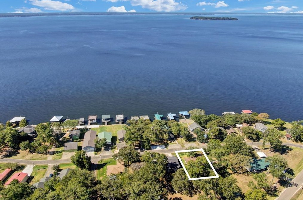 203 Lake Shore Dr, Livingston, TX 77351-2176