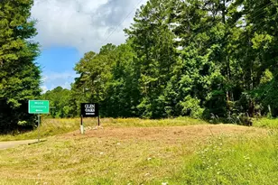 371 County Rd 428, Bronson, TX 75930 - Photo 4