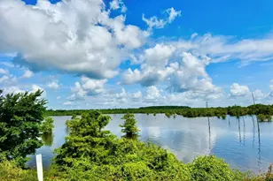 371 County Rd 428, Bronson, TX 75930 - Photo 2