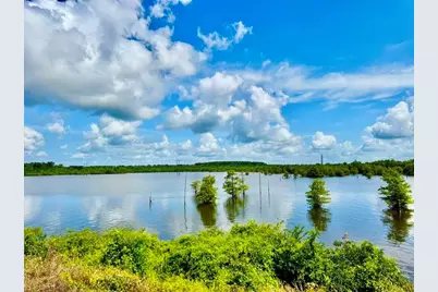 371 County Road 428, Bronson, TX 75930 - Photo 1