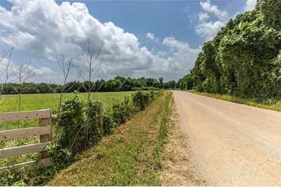 0 Skalak Road, New Ulm, TX 78950 - Photo 4