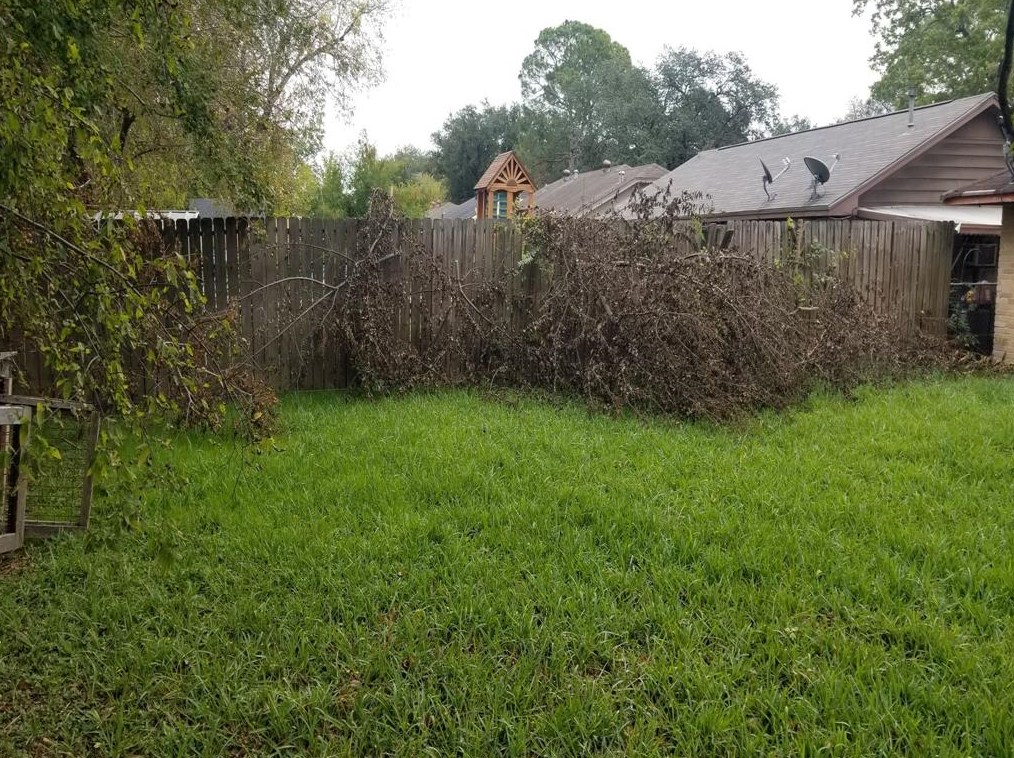 858 Marcolin St, Houston TX  77088-5108 exterior