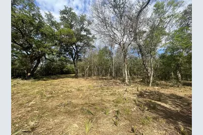 10186 County Road 400, Brazoria, TX 77422 - Photo 4