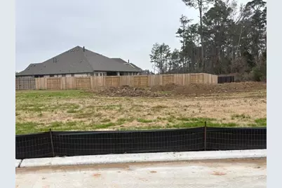 4818 Blue Pearl Lane, League City, TX 77573 - Photo 8