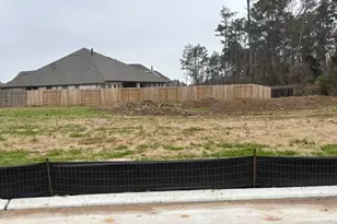 4818 Blue Pearl Ln, League City, TX 77573 - Photo 8