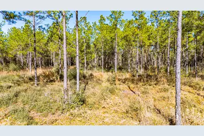 022 Magnolia Ranch Road, Onalaska, TX 77360 - Photo 4