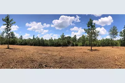 00 Lot 5 Cr 338, Nacogdoches, TX 75961 - Photo 4