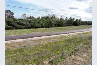 Lot 98 Pr 1315, Centerville, TX 75833 - Photo 10