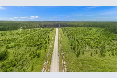 3340 Taylor Trail, Lovelady, TX 75851 - Photo 8