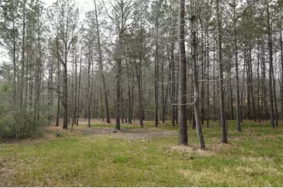 309 Exploration Road, Willis, TX 77378 - Photo 24