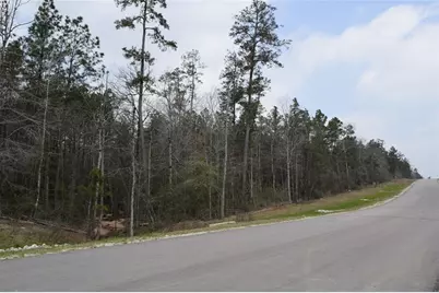 309 Exploration Road, Willis, TX 77378 - Photo 6